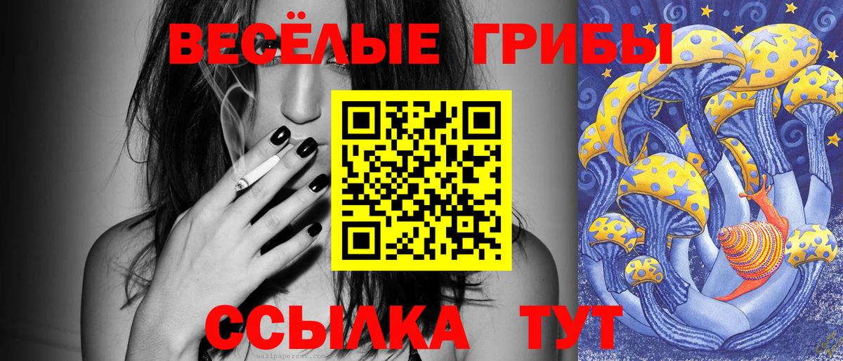 Псилоцибиновые грибы Magic Shrooms  Галлюциногенные грибы Cubensis  Рассказово  хочу   Вход с VPN 